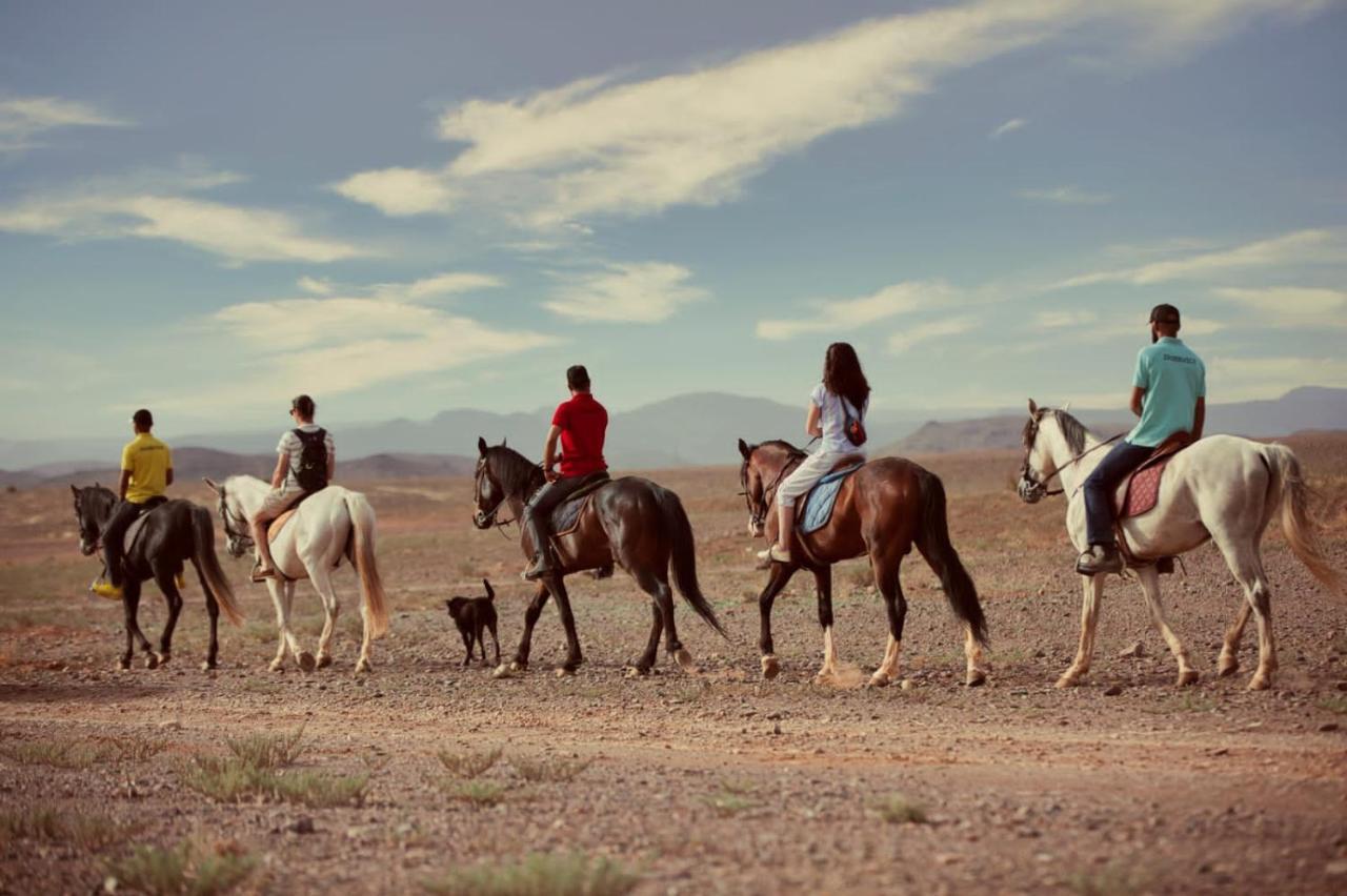 Tarmigt Ecolodge L'Ile De Ouarzazate מראה חיצוני תמונה