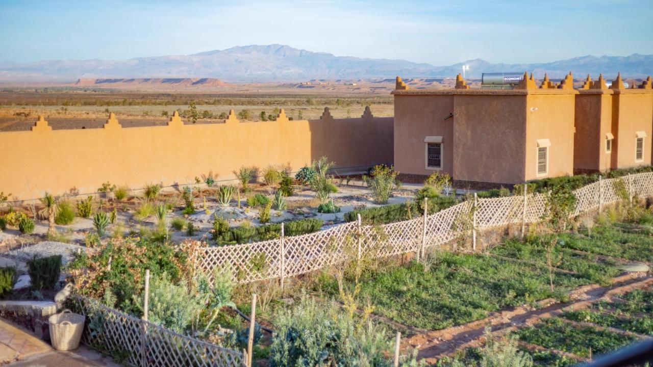 Tarmigt Ecolodge L'Ile De Ouarzazate מראה חיצוני תמונה